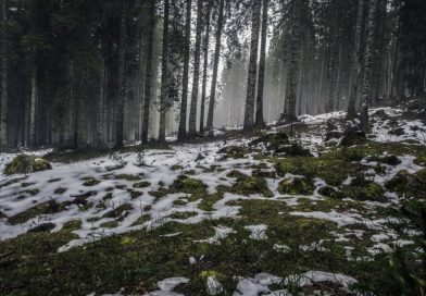 पाकुड़ में इंसानियत शर्मसार: 4 साल की मासूम से गलत हरकत,10 और 12 साल के दो बाल आरोपी पकड़ा गया… पाकुड़ में इंसानियत शर्मसार: 4 साल की मासूम से गलत हरकत,10 और 12 साल के दो बाल आरोपी पकड़ा गया…