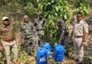 जंगल में चल रहा था अवैध शराब भट्टी,पुलिस ने मारा छापा,2000 लीटर जावा महुआ और 150 लीटर देसी शराब किया गया नष्ट….