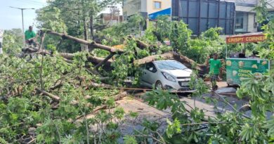 राँची में तेज आंधी और बारिश, कई जगहों पर गिरे पेड़, कार और बाइक क्षतिग्रस्त