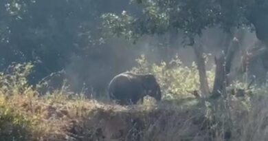 Ranchi: हटिया के बाद रातू में आया जंगली हाथी, लोगों में दहशत….
