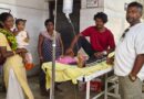 नशे में कोबरा से पंगा पड़ा महंगा, हाथ-पैर में डसा; समय पर इलाज से बची जान