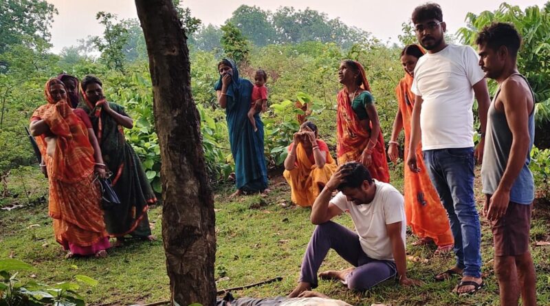 झारखण्ड में कहर बनकर गिरी आसमानी बिजली, तीन लोगों की मौत; बच्चा घायल, मवेशी भी नहीं बचा