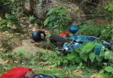 मवेशी को बचाने में पलटी स्कूटी, पति-पत्नी की मौके पर गई जान
