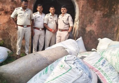 हजारीबाग में पोल्ट्री फार्म की आड़ में चल रहा था नशे का काला खेल; 697 KG अवैध डोडा बरामद हजारीबाग में पोल्ट्री फार्म की आड़ में चल रहा था नशे का काला खेल; 697 KG अवैध डोडा बरामद