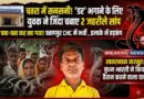 चतरा: लोगों का डर भगाने के लिए युवक ने चबा डाले 2 जहरीले सांप, दाना-पानी समझकर निगल गया जिंदा चतरा: लोगों का डर भगाने के लिए युवक ने चबा डाले 2 जहरीले सांप, दाना-पानी समझकर निगल गया जिंदा