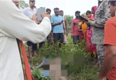 हाथियों का तांडव: खेत देखने गए किसान को कुचलकर मार डाला, गांव में फैली दहशत हाथियों का तांडव: खेत देखने गए किसान को कुचलकर मार डाला, गांव में फैली दहशत
