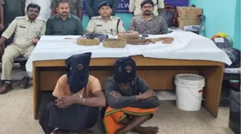 राँची रेलवे स्टेशन पर वन्यजीव तस्करी का खुलासा, पांच सांपों के साथ दो हिरासत में.. राँची रेलवे स्टेशन पर वन्यजीव तस्करी का खुलासा, पांच सांपों के साथ दो हिरासत में..