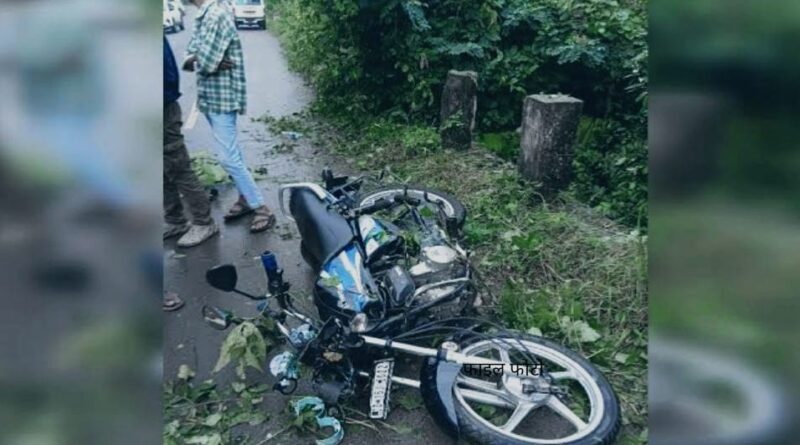 मौत बनकर गिरी पेड़ की डाल, बाइक सवार युवक की मौके पर मौत, साथी गंभीर