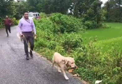 पहले प्रेम, फिर गुपचुप शादी और अचानक लापता… जंगल में मिली किशोरी की सिरकटी लाश, पति पर हत्या का शक