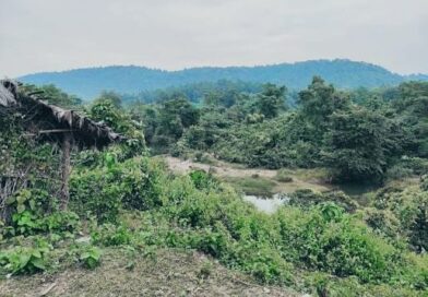सुनसान जंगल में मिला अज्ञात महिला का शव, दुष्कर्म के बाद हत्या की आशंका से सनसनी,जांच में जुटी पुलिस