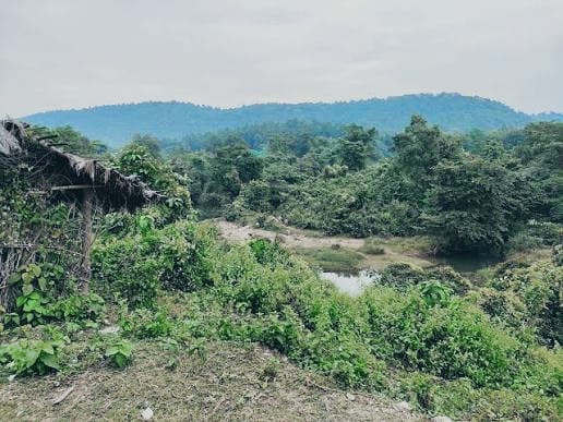 सुनसान जंगल में मिला अज्ञात महिला का शव, दुष्कर्म के बाद हत्या की आशंका से सनसनी,जांच में जुटी पुलिस