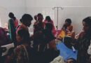 करमा डाली विसर्जन के बीच अचानक टूटा भौंरों का कहर, बच्चों-महिलाओं समेत दो दर्जन से अधिक लोग घायल