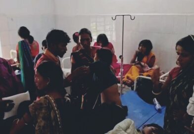 करमा डाली विसर्जन के बीच अचानक टूटा भौंरों का कहर, बच्चों-महिलाओं समेत दो दर्जन से अधिक लोग घायल