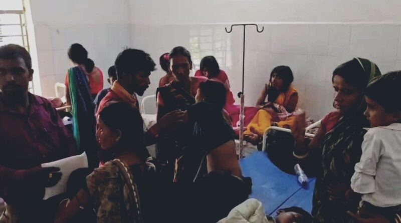 करमा डाली विसर्जन के बीच अचानक टूटा भौंरों का कहर, बच्चों-महिलाओं समेत दो दर्जन से अधिक लोग घायल