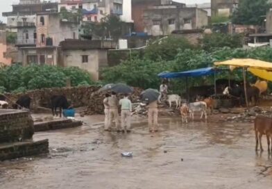 डोरंडा में अवैध बूचड़खानों पर राँची पुलिस का बड़ा एक्शन, 85 गोवंश बरामद….भारी मात्रा में चमड़ा-हड्डियां मिलीं