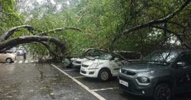 राँची में प्रोजेक्ट भवन परिसर में गिरा विशाल पेड़, कई गाड़ियां क्षतिग्रस्त