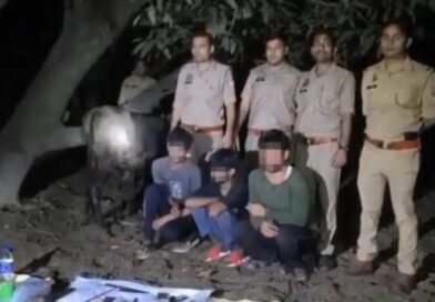 गोकशी की तैयारी में थे 6 बदमाश, पुलिस से मुठभेड़… 3 का हाफ एनकाउंटर, 3 गिरफ्तार