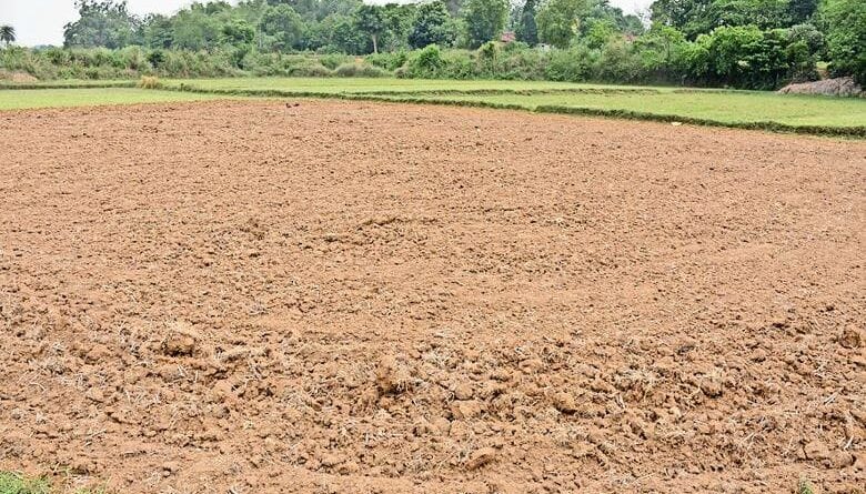 पलामू में जमीन विवाद ने लिया हिंसक रूप, खेत जोतने पहुंचे बैंककर्मी पर कुदाल से हमला; गंभीर रूप से घायल