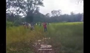 पुराने सिंचाई गड्ढे में गिरकर हाथी की मौत, भारी बारिश ने रोका रेस्क्यू अभियान